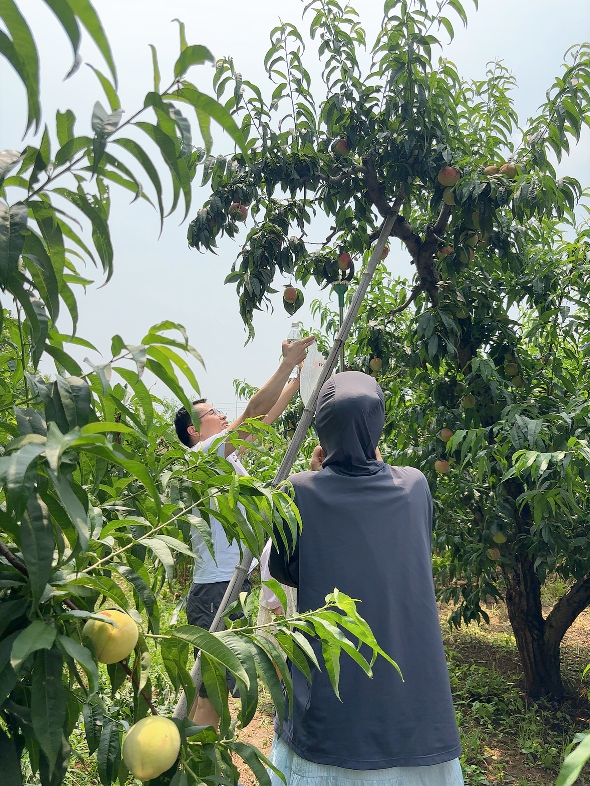 Atividade de Team Building de Beijing Zhongping — Abraçando a Natureza3