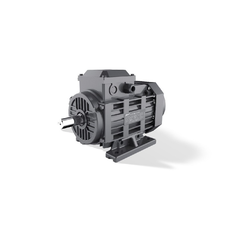 Motor LSPM GESHI FTYP 0,55-15kW IE4 Partida Direta IP55