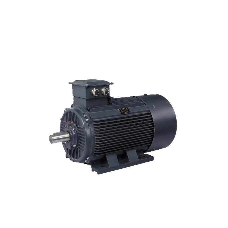 Motor de Relutância Síncrona Geshi CZM5 IE5 5.5-355kW