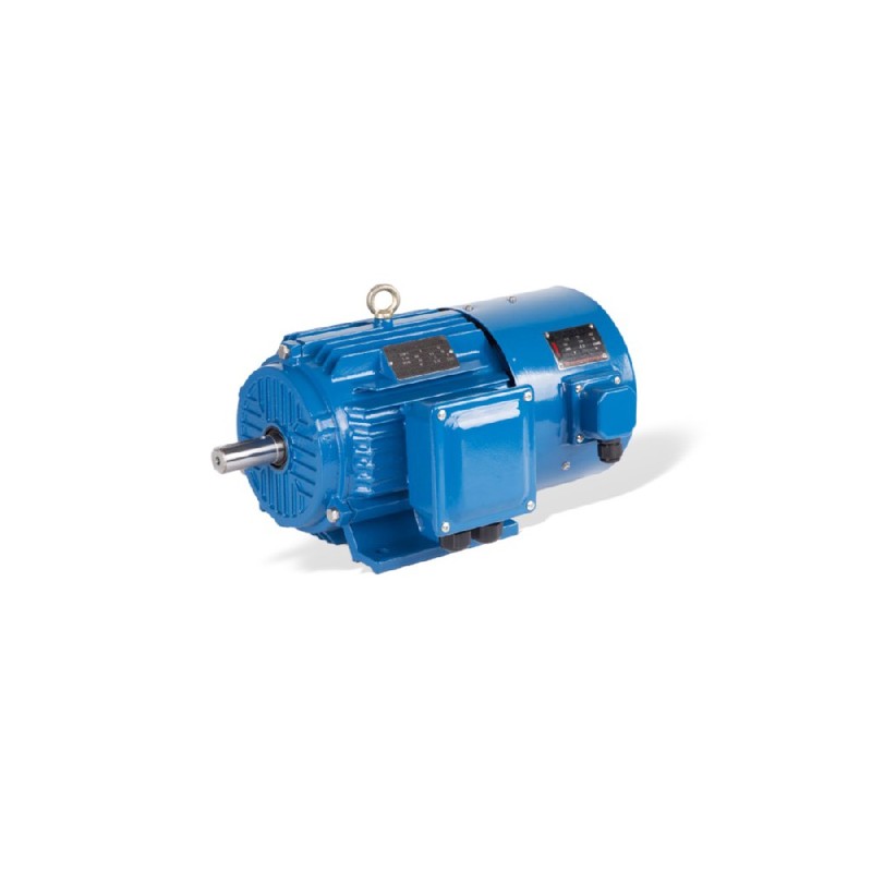 Motor para Inversor VFD GESHI YVF2 0.55-315kW IP54